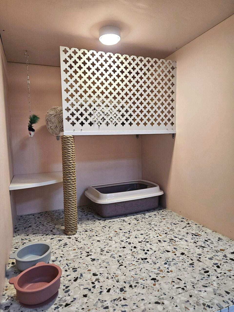 Номер Комфорт для кошек