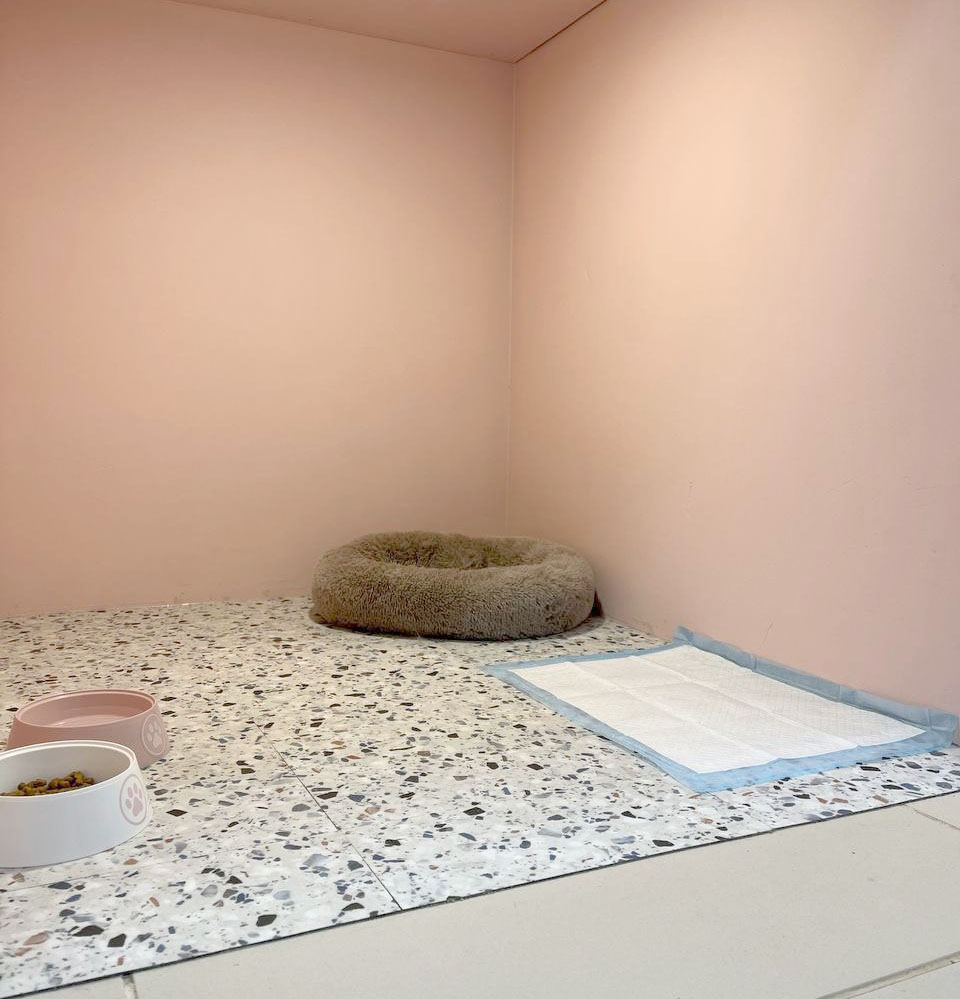 Номер Комфорт для собак